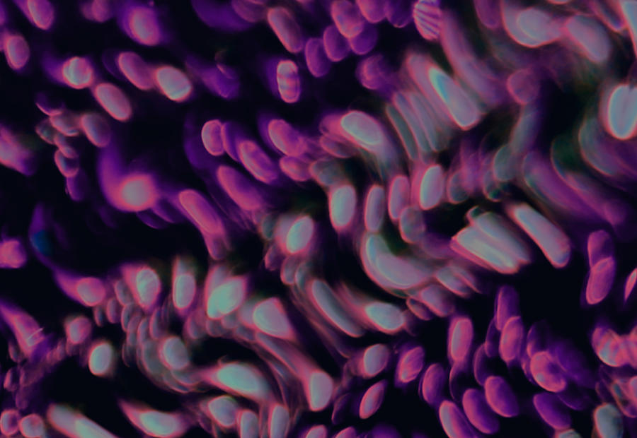 Purple Blobs by AJP Purple Blobs by AJP