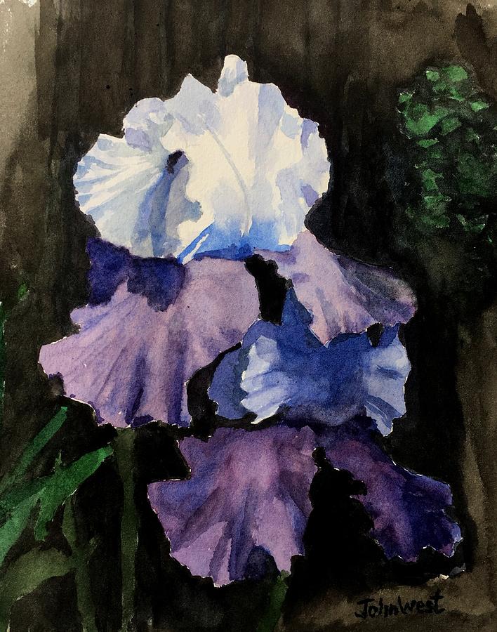 Purple-Blue Iris Painting by John West