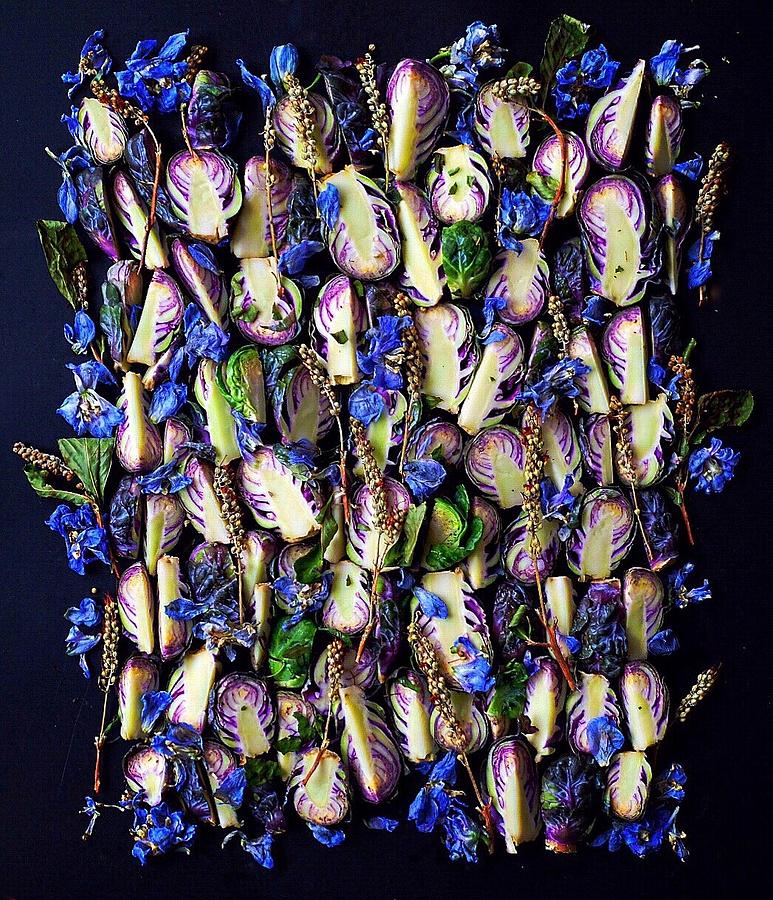 Purple Brussels Sprouts by Sarah Phillips Purple Brussels Sprouts by Sarah Phillips