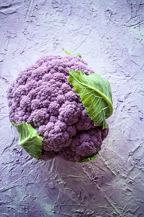 Purple Cauliflower Photograph by Kati Finell