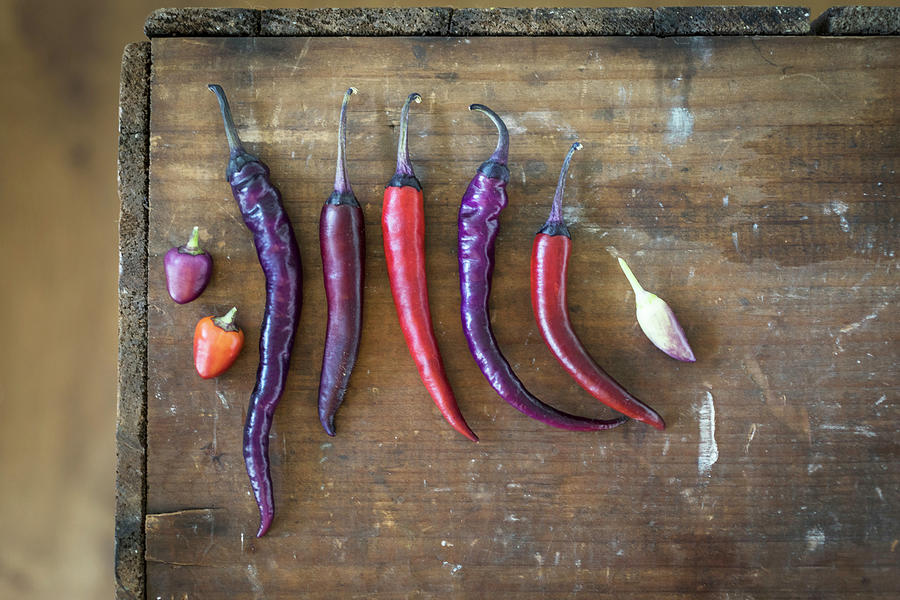 Purple Chillies Photograph by Joan Ransley