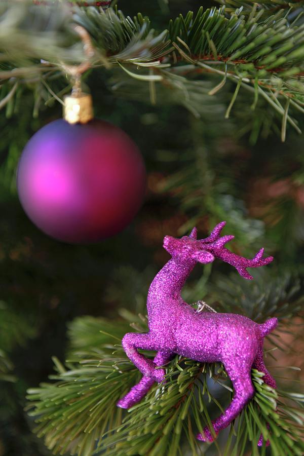 Purple Christmas Tree Decorations Photograph by Anneliese Kompatscher