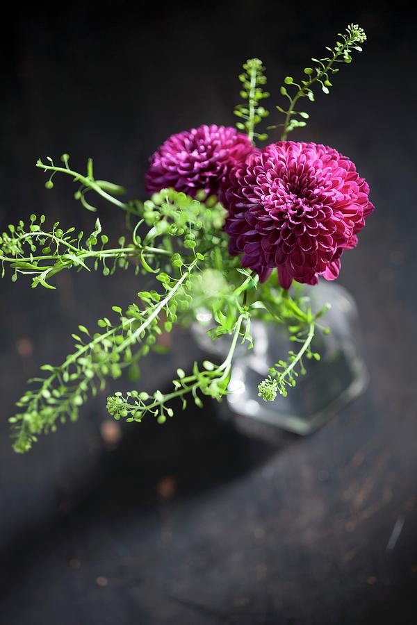 Purple Chrysanthemums In Glass Vase Photograph by Pia Simon