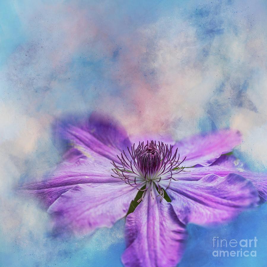 Spring Mixed Media - Purple Clematis by Eva Lechner