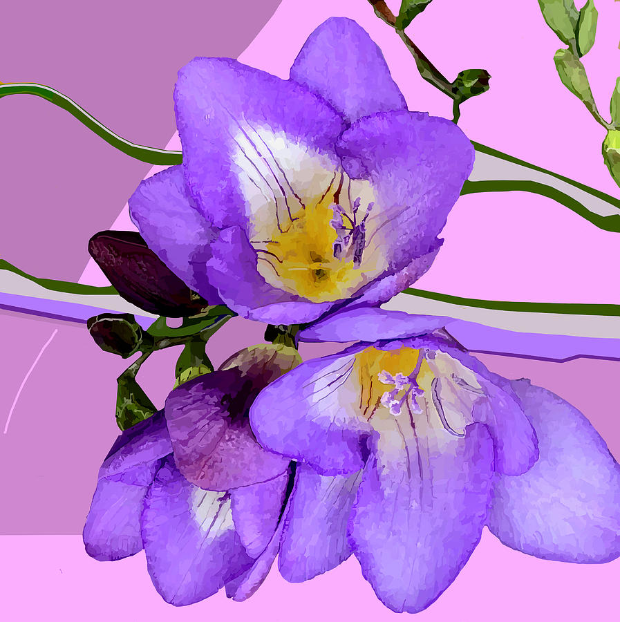 Purple Crocus Digital Art by Jamie Downs