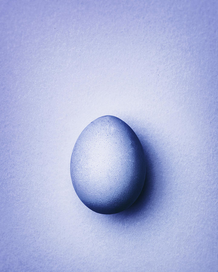 Purple Easter Egg On A Purple Background Photograph by Peter Rees