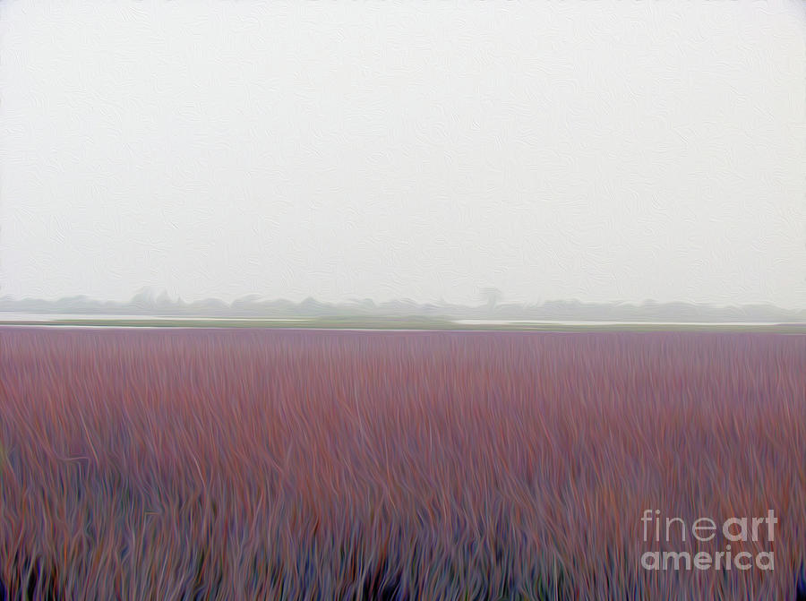 Purple Fields Digital Art