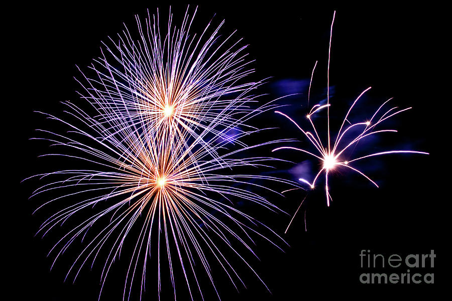 Independence Day Photograph - Purple Fireworks by Delphimages Photo Creations