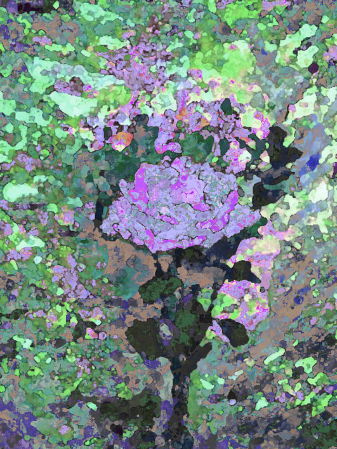 Purple Flower 1001 Mixed Media by Corinne Carroll