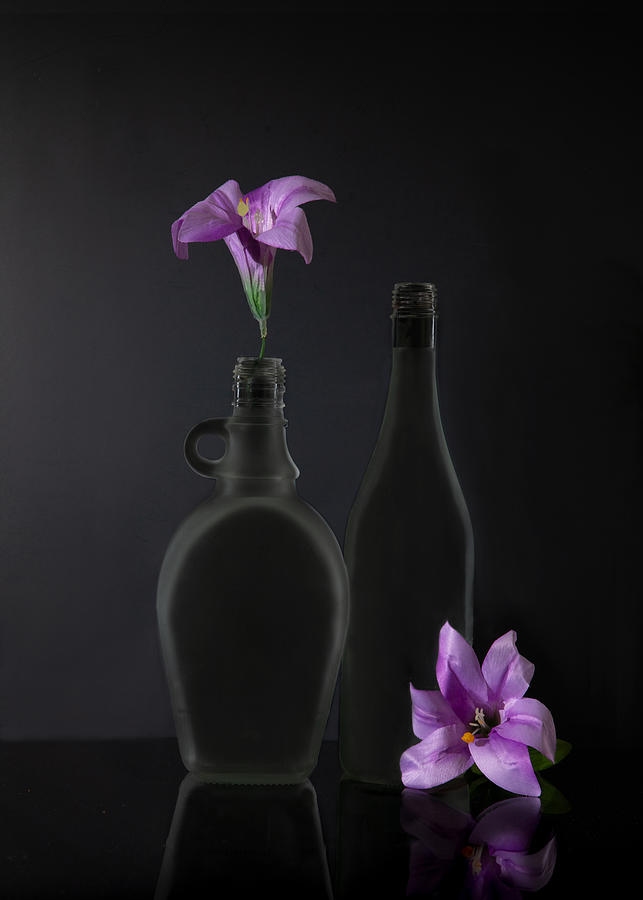 Purple Flower Photograph by Wendy Xu
