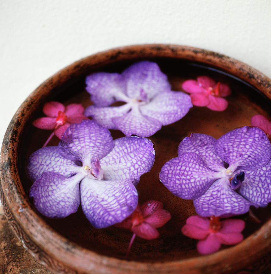 Purple Flowers Photograph by Cristina Pedrazzini