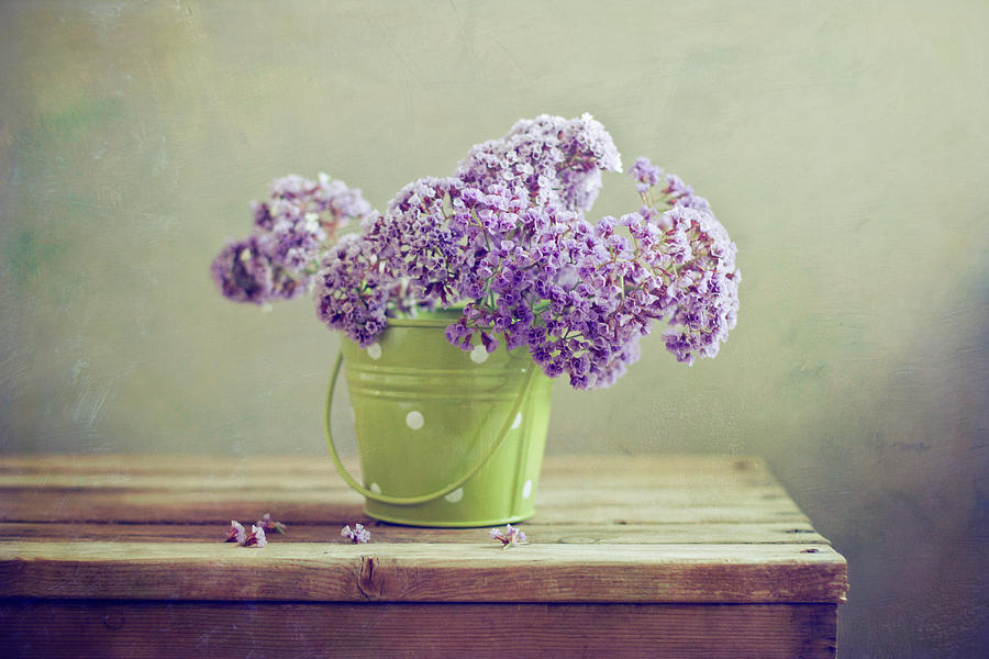 Purple Flowers In Green Bucket Photograph by Copyright Anna Nemoy(xaomena)