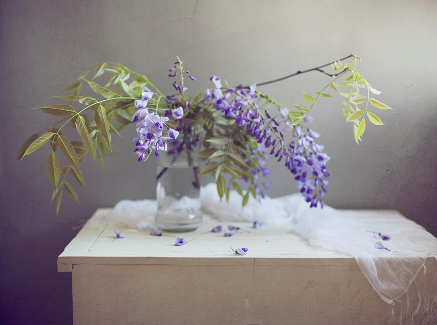 Purple Flowers On White Table Photograph by Copyright Anna Nemoy(xaomena)