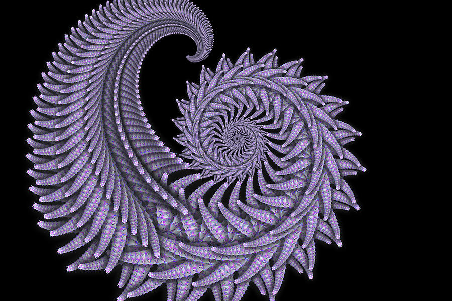 Purple Fossil Fractal Digital Art by Scott Lyons