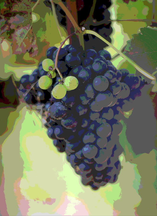 Purple Grape Clusters 2017i Photograph by Cathy Lindsey