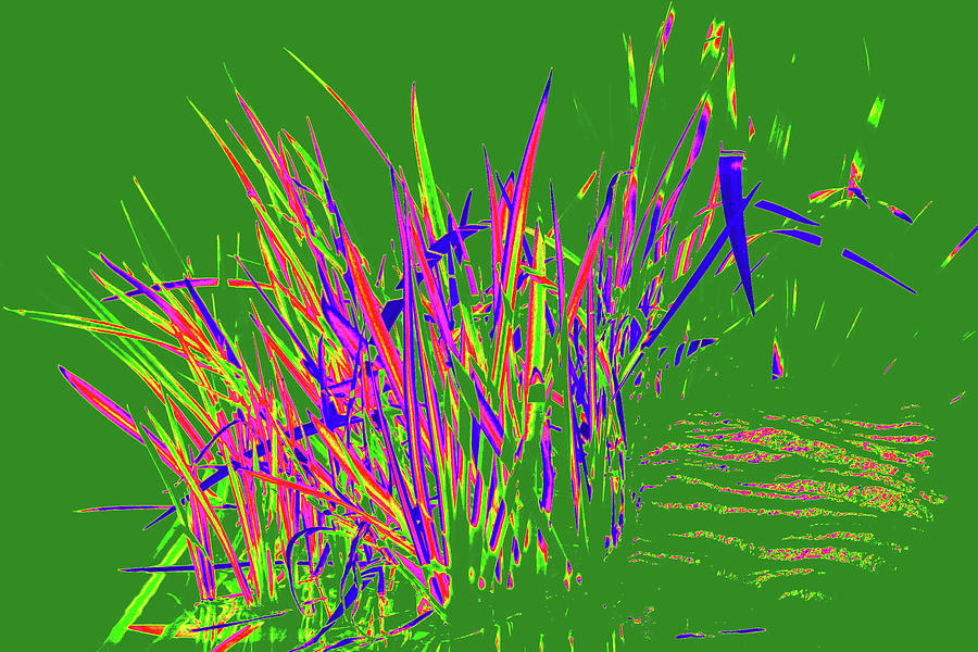 Purple Grass Abstract Photograph by Yuri Tomashevi