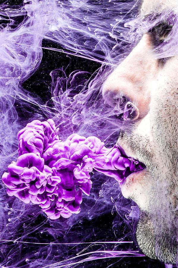 Purple Haze Photograph by Nick Schafer