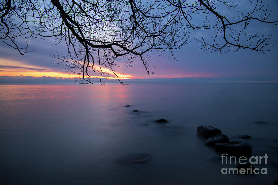 Purple horizon and misty morning Photograph by Eric Curtin Purple horizon and misty morning Photograph by Eric Curtin