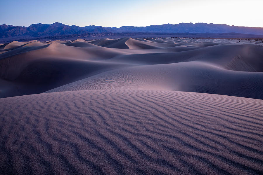 Purple Hour Photograph by Will Nourse - Fine Art America