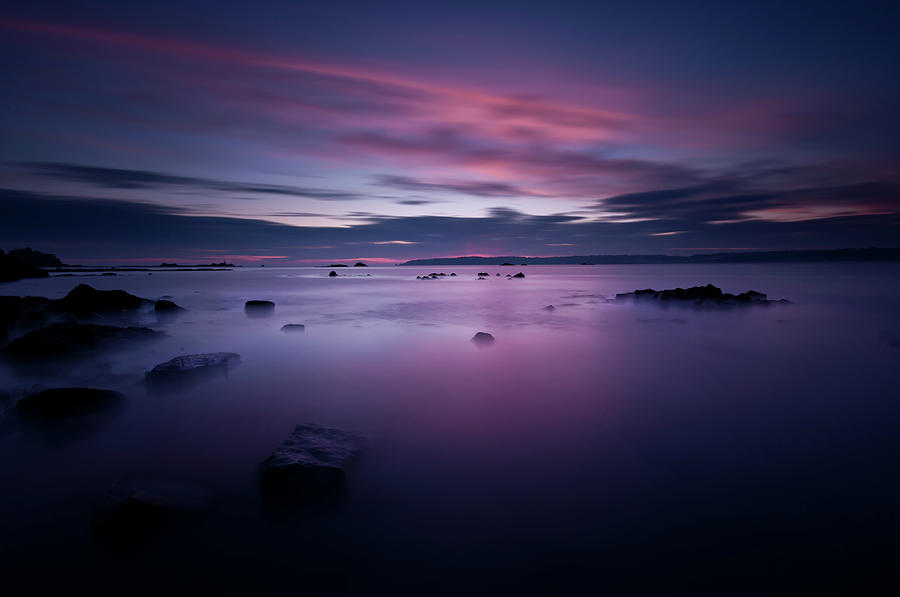 Purple Hues Photograph by Richard Boak