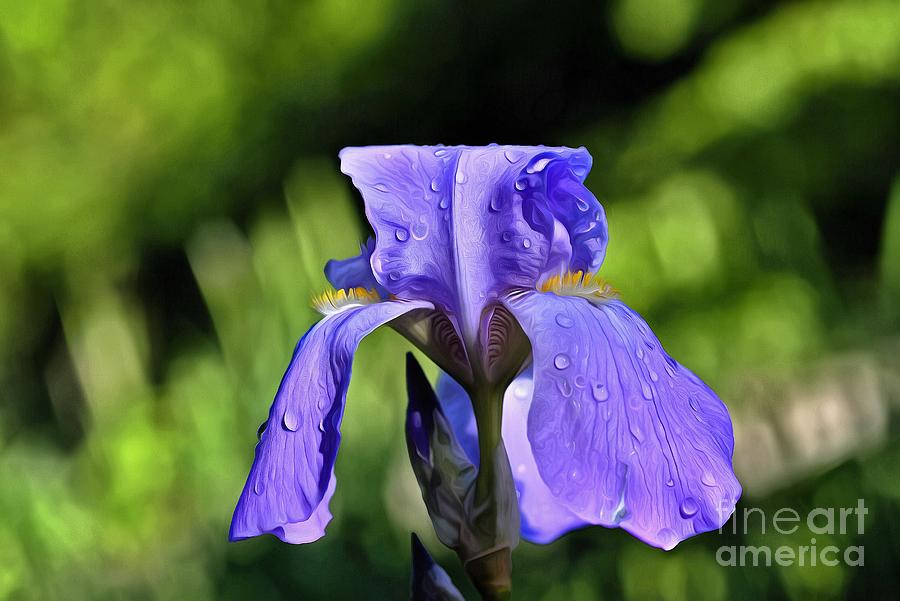 Paint Painting - Purple Iris by George Atsametakis
