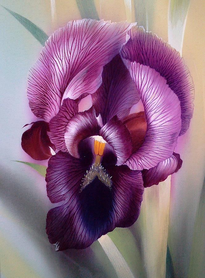 Purple Iris Head 1 Painting by Alina Oseeva