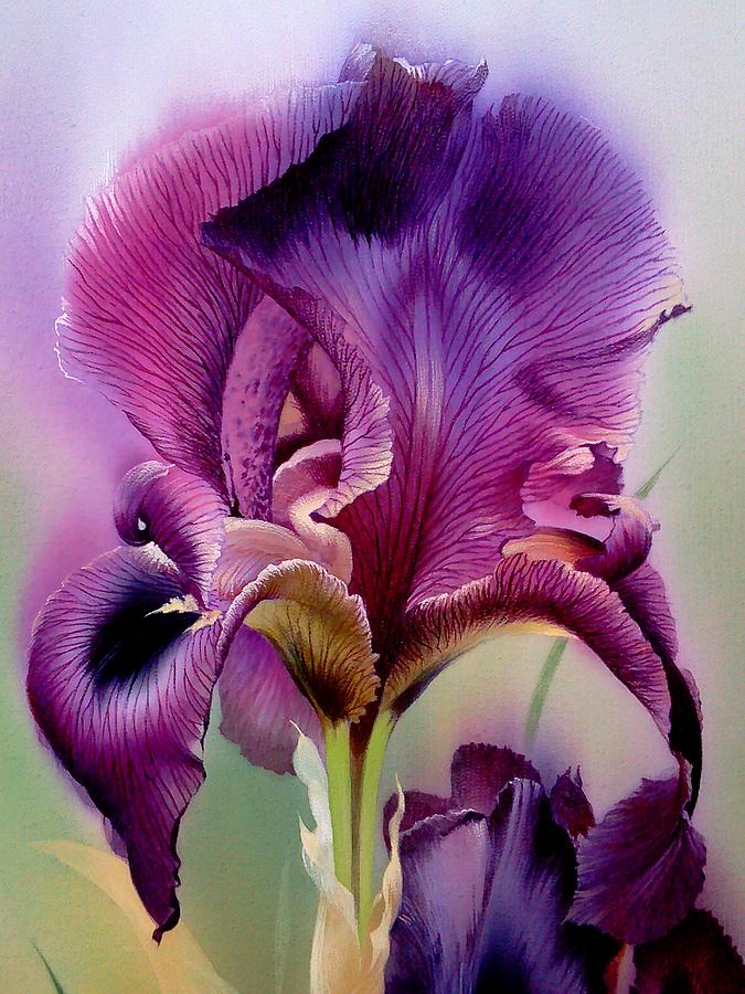 Purple Iris Head Painting by Alina Oseeva