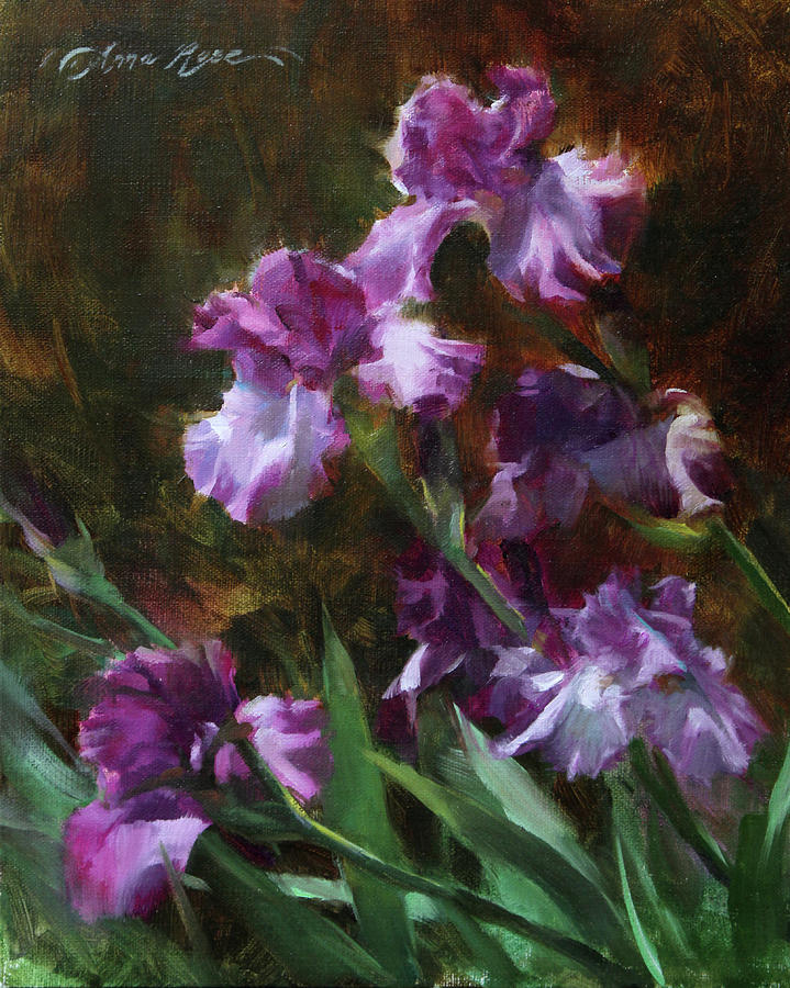 Purple Irises Painting by Anna Rose Bain
