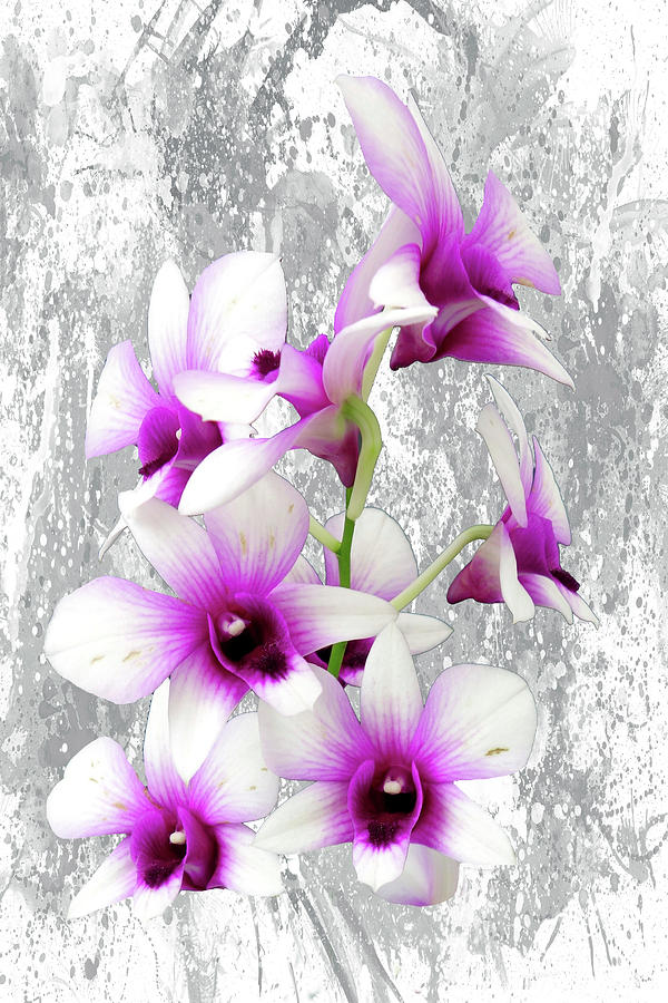 Flower Mixed Media - Purple Is My Color by Ata Alishahi