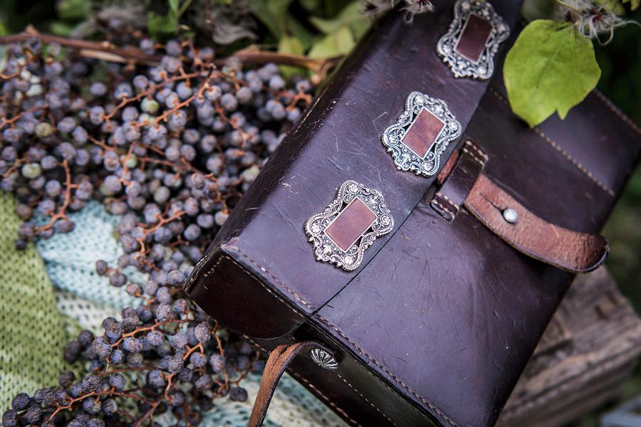 Purple Leather Bag On Berries Photograph by Bildhbsch