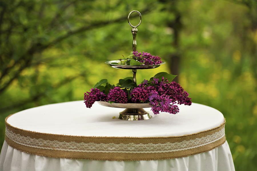 Purple Lilac On Cake Stand On Table With Ornate Tablecloth In Garden Photograph by Alicja Koll