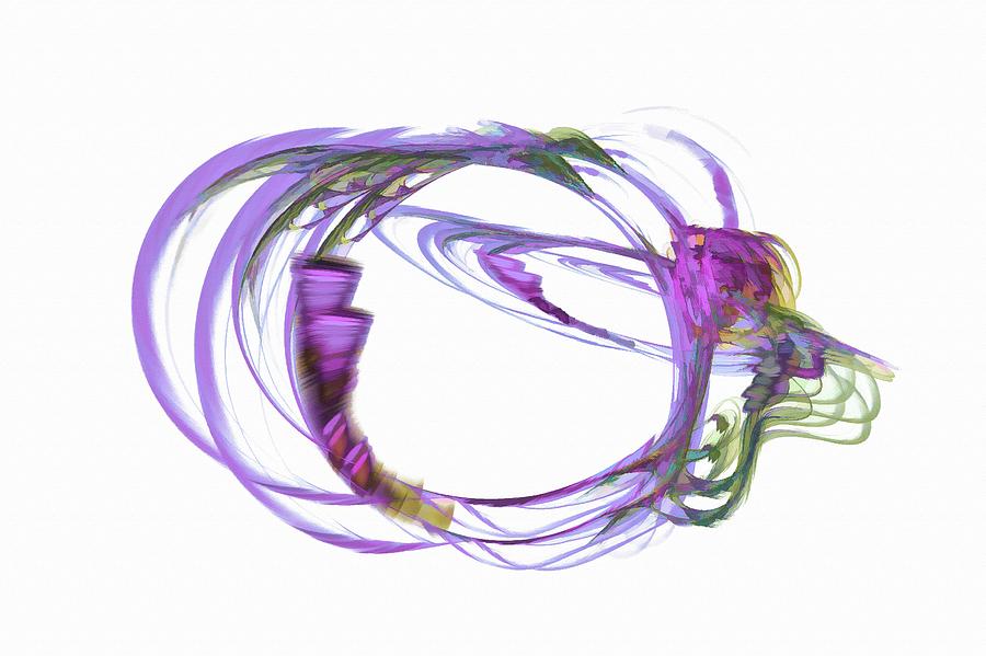 Purple Loops Digital Art by Don Northup