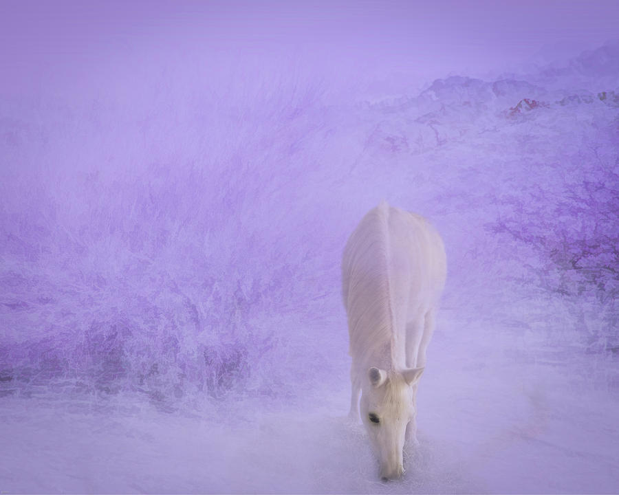 Purple Mist Digital Art by Sandra Nesbit