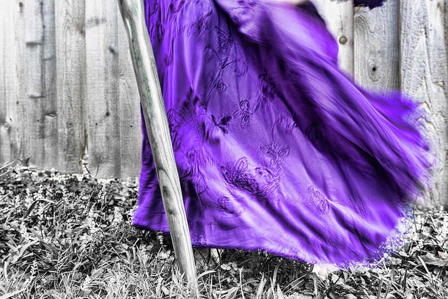 Purple Movement Photograph by Sharon Popek