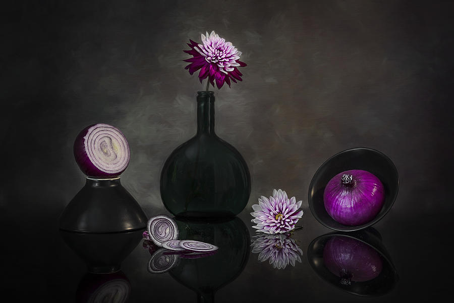 Onion Photograph - Purple Onion by Lydia Jacobs