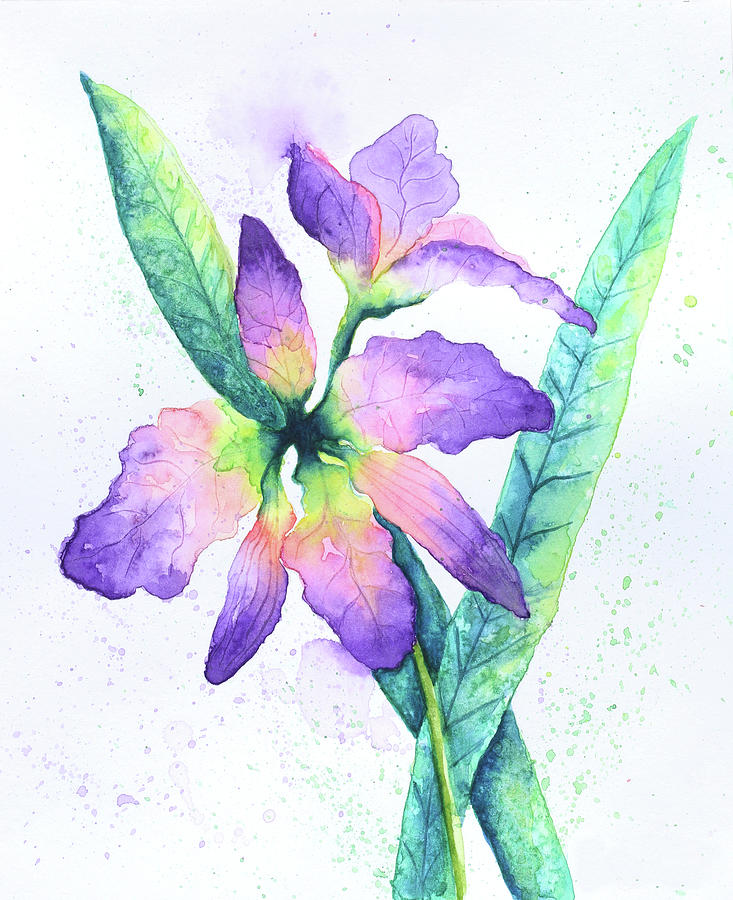 Flower Painting - Purple Orchid by Michelle Faber