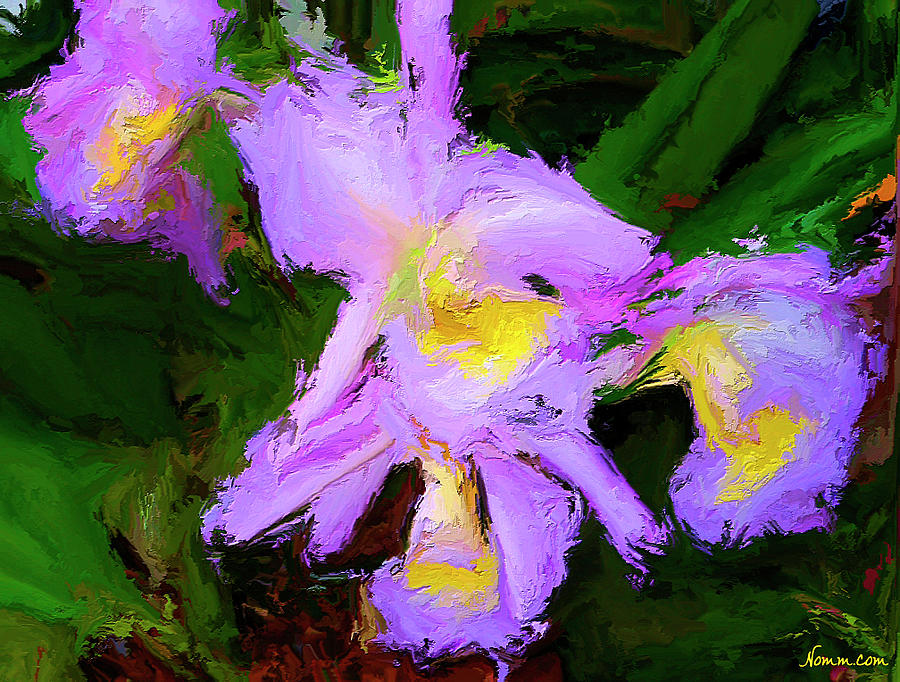 Purple Orchids Digital Art by Rein Nomm