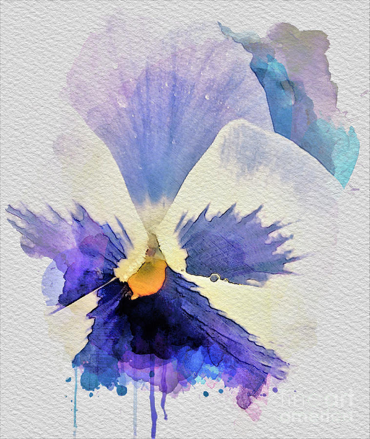 Purple Pansy Painting by Tracey Lee Cassin