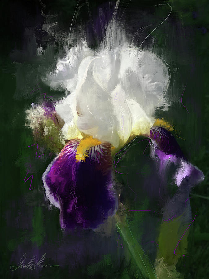 Purple Passion Digital Art by Garth Glazier