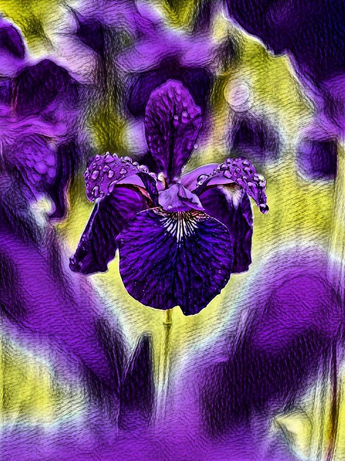 Purple Passion Digital Art