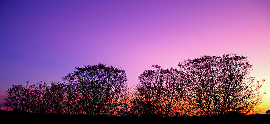 Purple Pink Orange Sunset Photograph by Jason Fink
