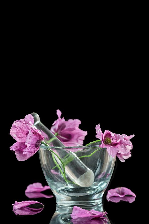 Purple Poppies In A Glass Mortar Photograph by Jean-paul Chassenet