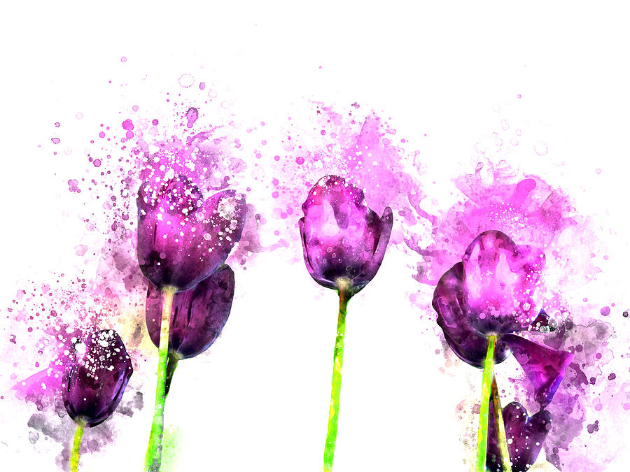 Tulip Digital Art - Purple Prince Tulips in May by Western Exposure
