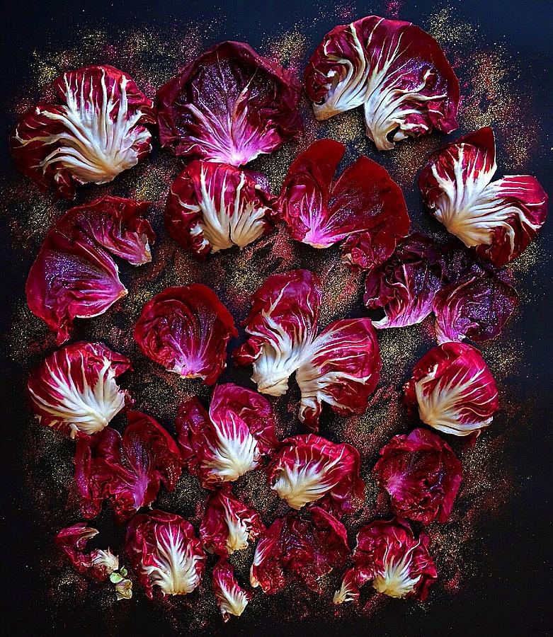 Purple Radicchio by Sarah Phillips Purple Radicchio by Sarah Phillips