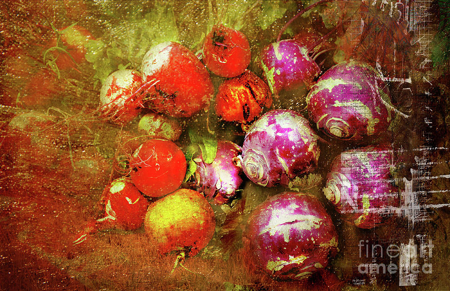 Purple radishes Digital Art by Deb Nakano