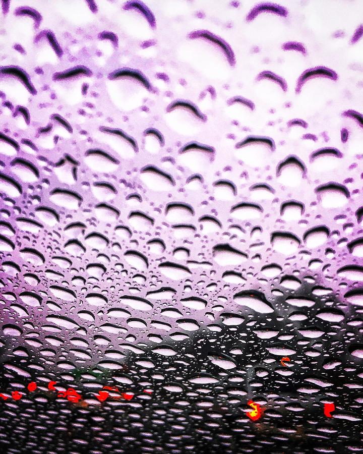 Purple rain Photograph by Olivier Calas