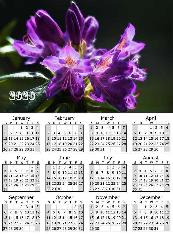 Purple Rhododendron Calendar 2020 by Yulia Kazansky Purple Rhododendron Calendar 2020 by Yulia Kazansky