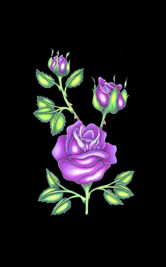 Purple Roses Drawing by Brian Ritchie Pixels