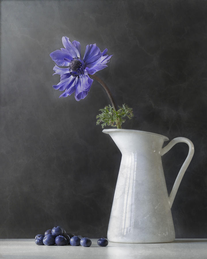 Flower Photograph - Purple by Sharon Williams