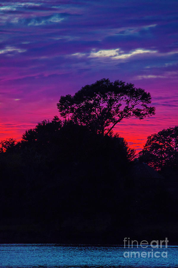 Purple Sky by Carter Spade Purple Sky by Carter Spade